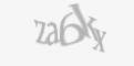 Защитный код